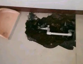 温州市卫生间测漏水多少钱